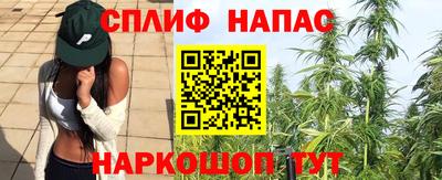 гидропоника Гагарин