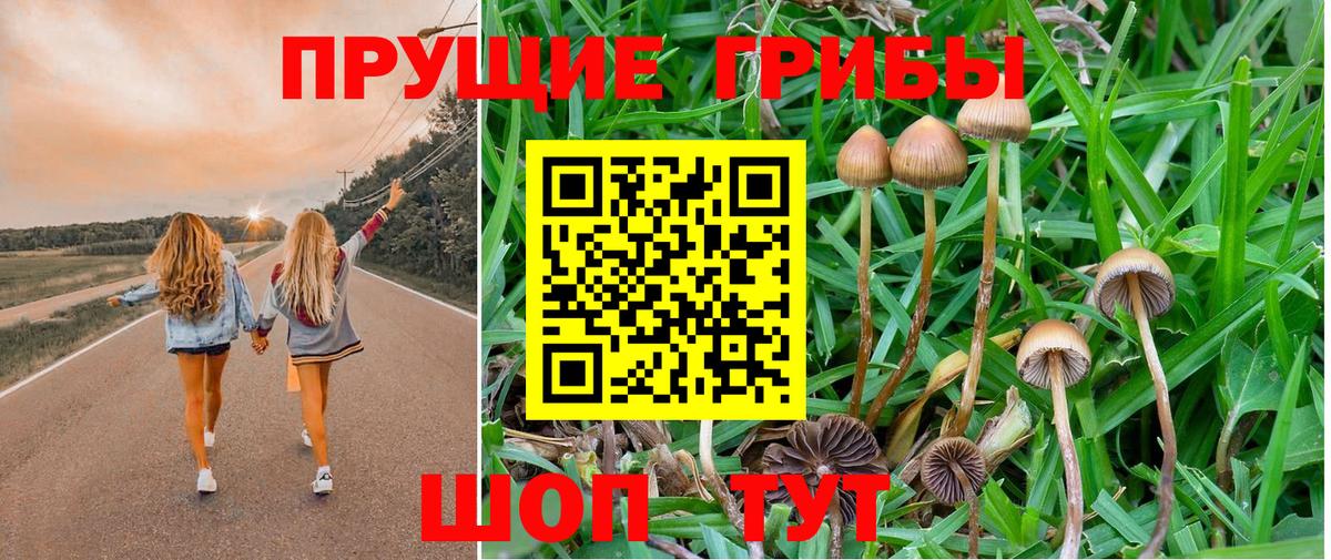Галлюциногенные грибы Magic Shrooms Калининград